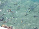CIMG0609.JPG