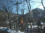 CIMG0751.JPG