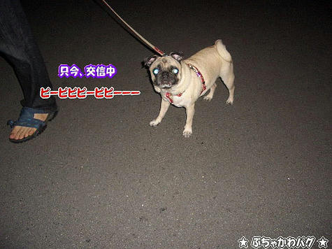 98ba3298.JPG