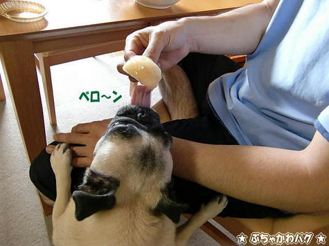 CIMG0211.JPG