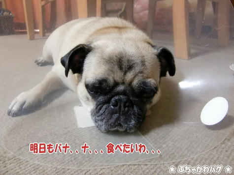 CIMG0655.JPG
