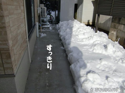 CIMG4049.JPG