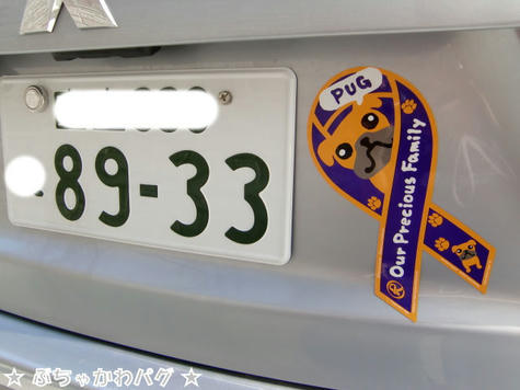 CIMG4513.JPG