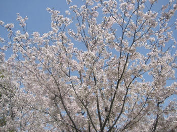 平和公園