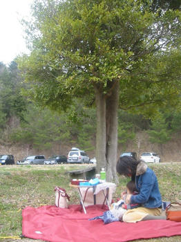 森林公園