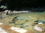 P1020159.JPG