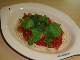 100831a.jpg