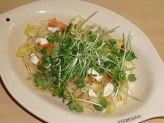110212a.jpg