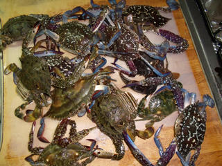 DSCF2020.jpg