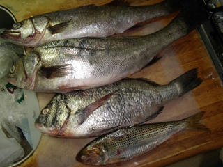 DSCF2026.jpg