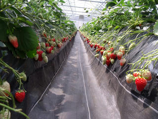 DSCF2314.jpg
