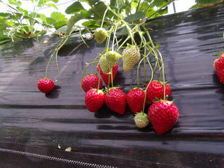 DSCF2320.jpg
