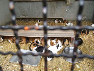 DSCF2330.jpg