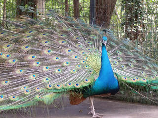 DSCF2335.jpg