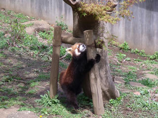 DSCF2362.jpg