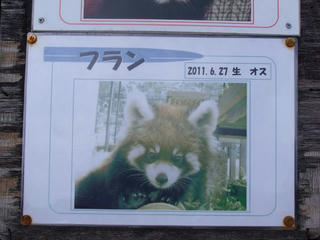 DSCF2378.jpg