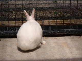 DSCF2379.jpg
