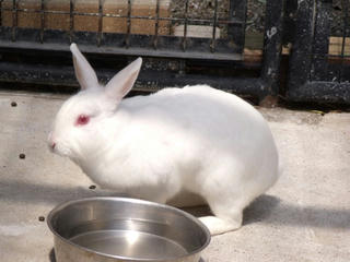 DSCF2380.jpg