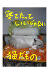セリフ付き