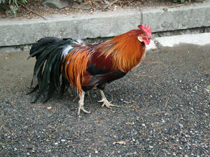 08b3.jpg