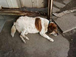 DSCF3088.jpg