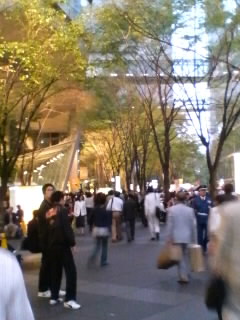 国際フォーラム