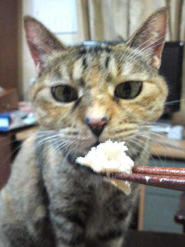 purin