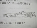 DSCF1014.JPG