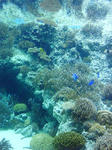 SA2A0022.JPG