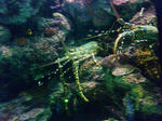 SA2A0027.JPG