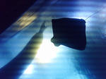 SA2A0033.JPG