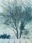 PAP_0152.JPG