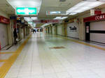 KC370139.JPG