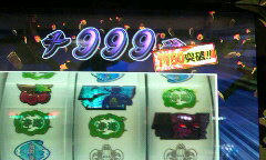 83d3e002.jpg