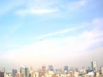 20080724143529.jpg