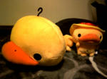 20080819211006.jpg