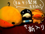 20080824001640.jpg