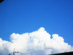 IMG_1122.jpg