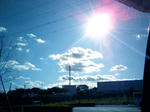 20081125125306.jpg