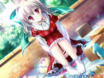 080321_dcii_01-thumb.jpg