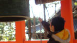 SN3D0784.JPG