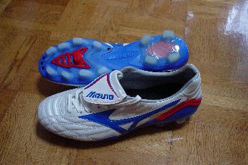 モレリアウエーブ