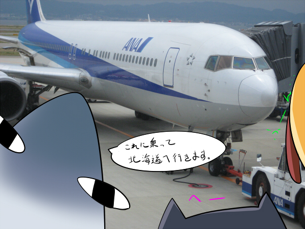 穴の飛行機~