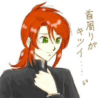 詰襟と言うだけあって…なのか