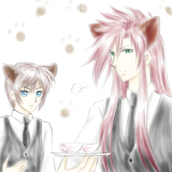 ぬこぬこ喫茶v