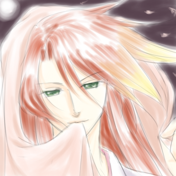 夜桜大使ｖ