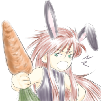 うさっしゅ＾＾