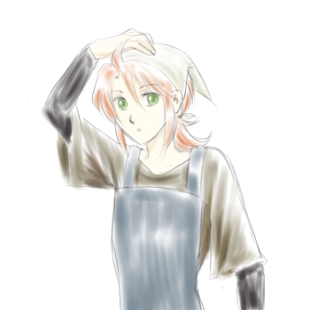 エプロンルーク＾＾
