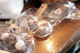 sa10.jpg