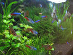 IMG_1533.JPG